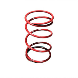 Hátsó kuplunghoz nyomó rugó D50 35KG 