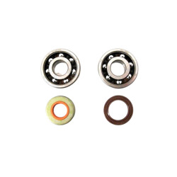 Csapágy + szimering klt. AM6