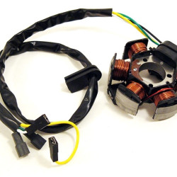 Gyújtásalaplap komplett APRILIA RS-50 / AM6 DERBI /DUCATI/ 